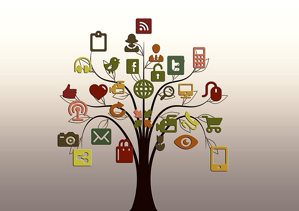 Social Media Management
